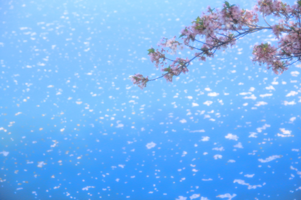 春風