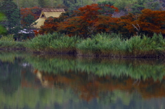 紅の水辺