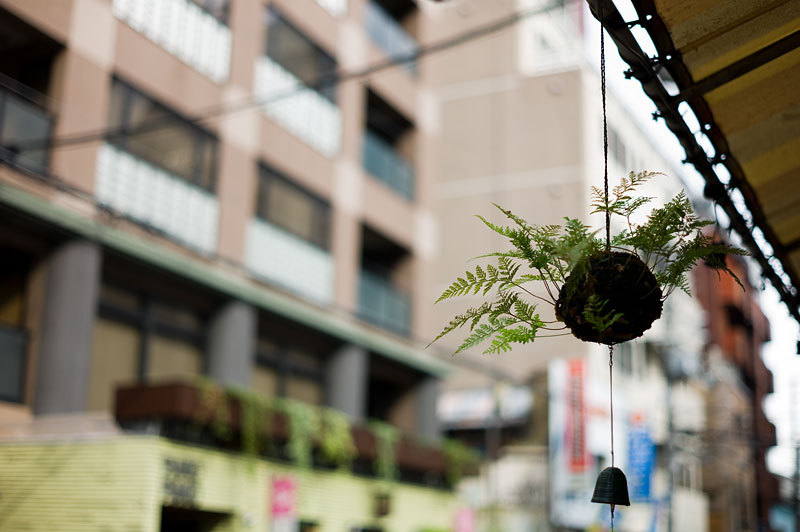 もう一つの記憶