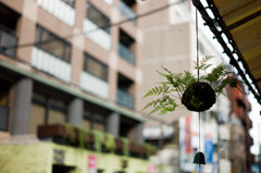 もう一つの記憶