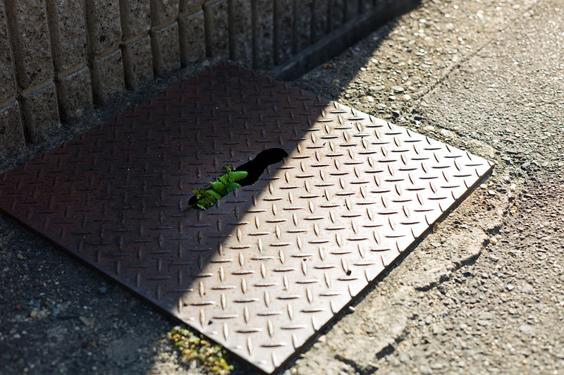 もう一つの記憶