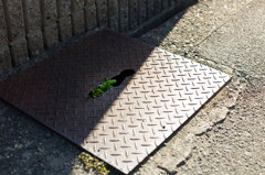 もう一つの記憶