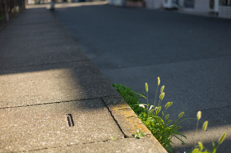 もう一つの記憶