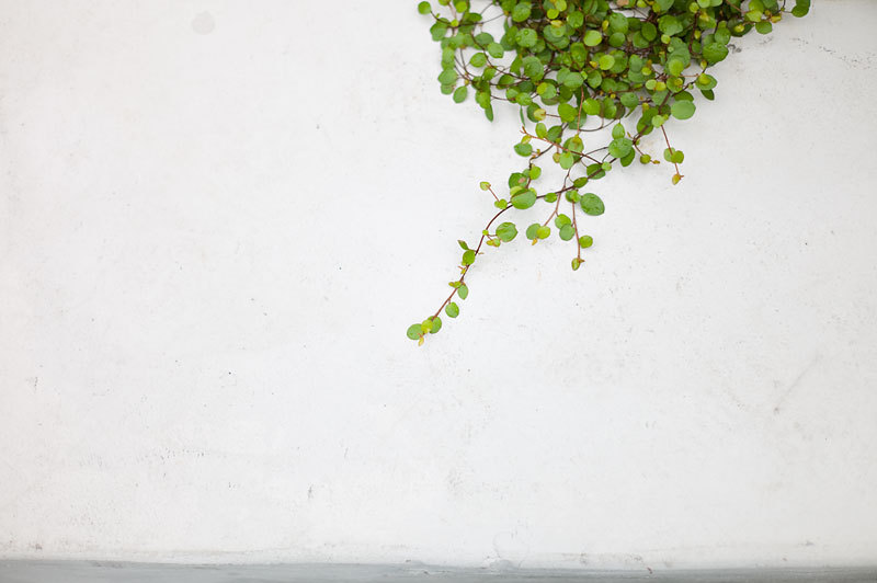 もう一つの記憶