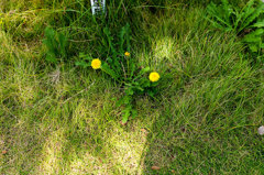 もう一つの記憶