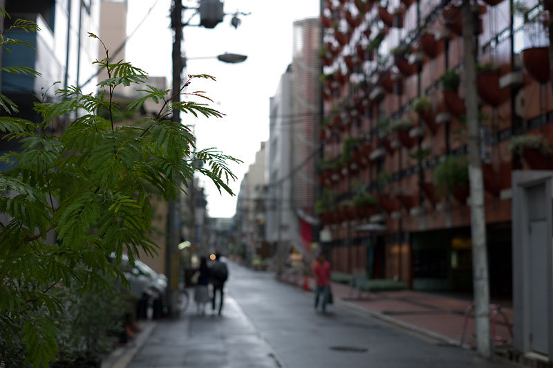 もう一つの記憶