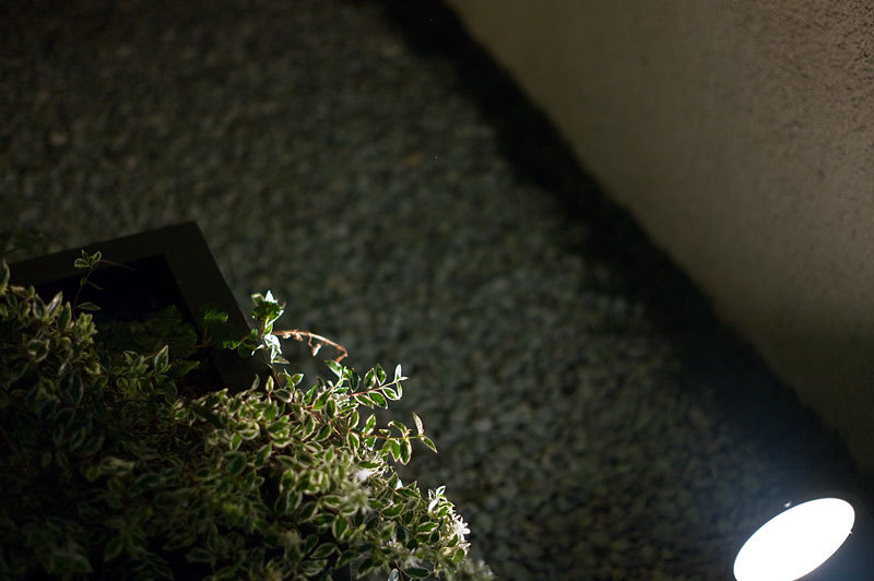 もう一つの記憶