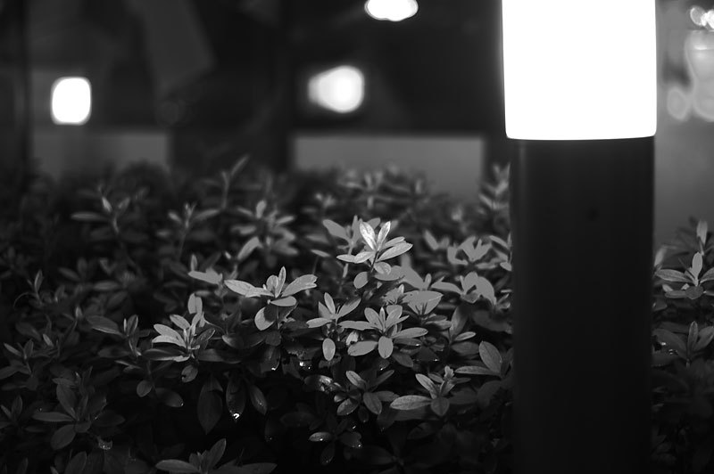 もう一つの記憶