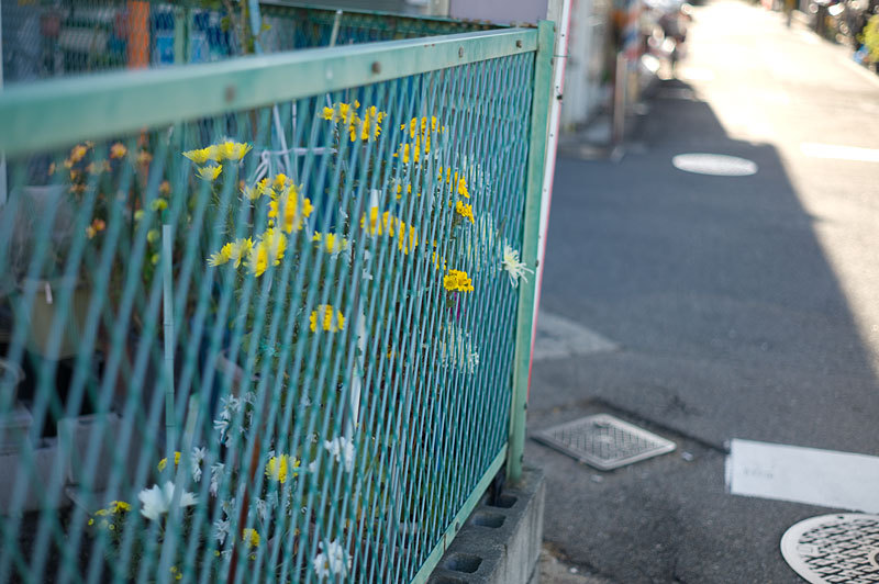 もう一つの記憶