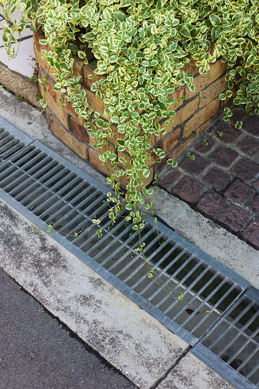 もう一つの記憶