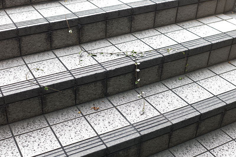 もう一つの記憶