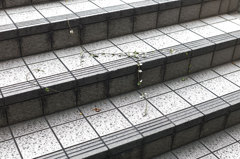 もう一つの記憶