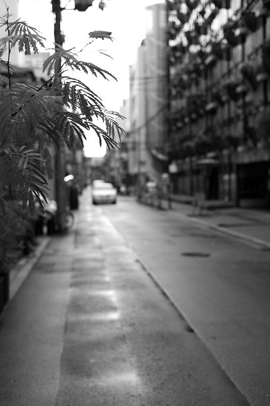 もう一つの記憶