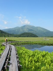 尾瀬ヶ原から至仏山を望む