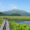 尾瀬ヶ原から至仏山を望む