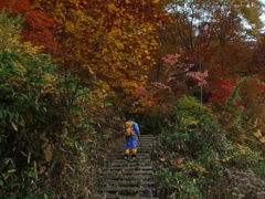秋の三平峠