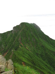 新緑の阿弥陀岳