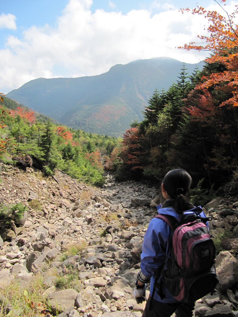 紅葉と双子山