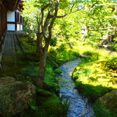 天龍寺