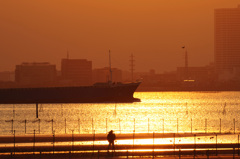 三番瀬の夕焼け