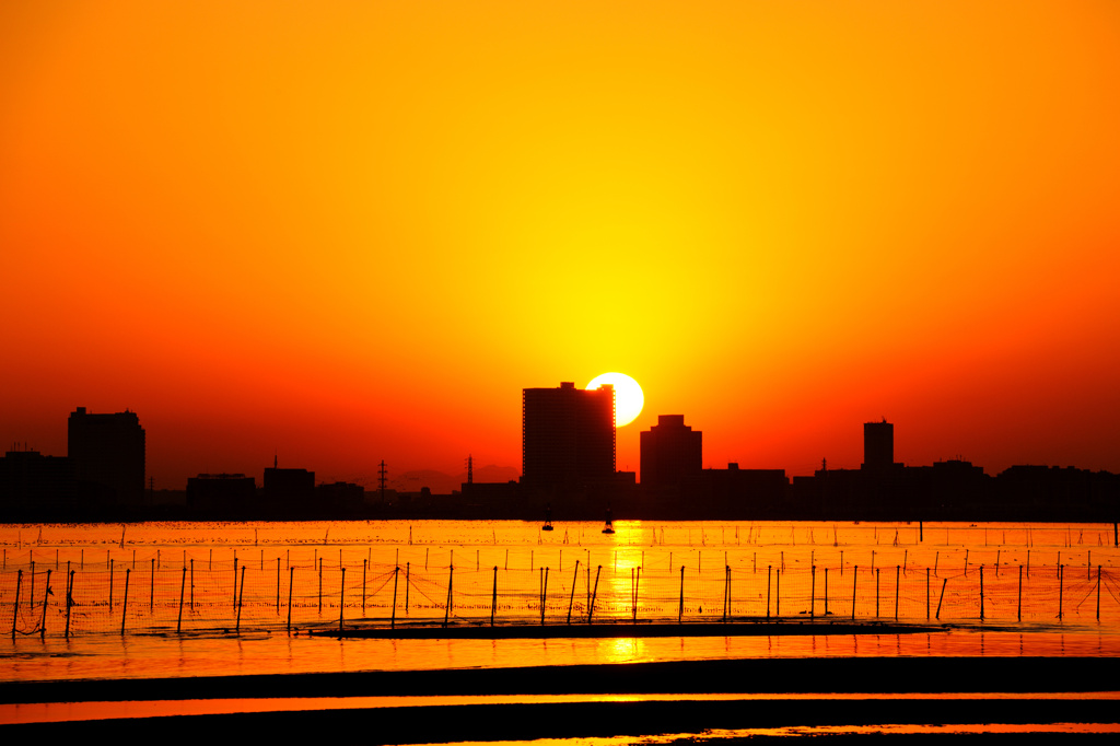 三番瀬の夕日