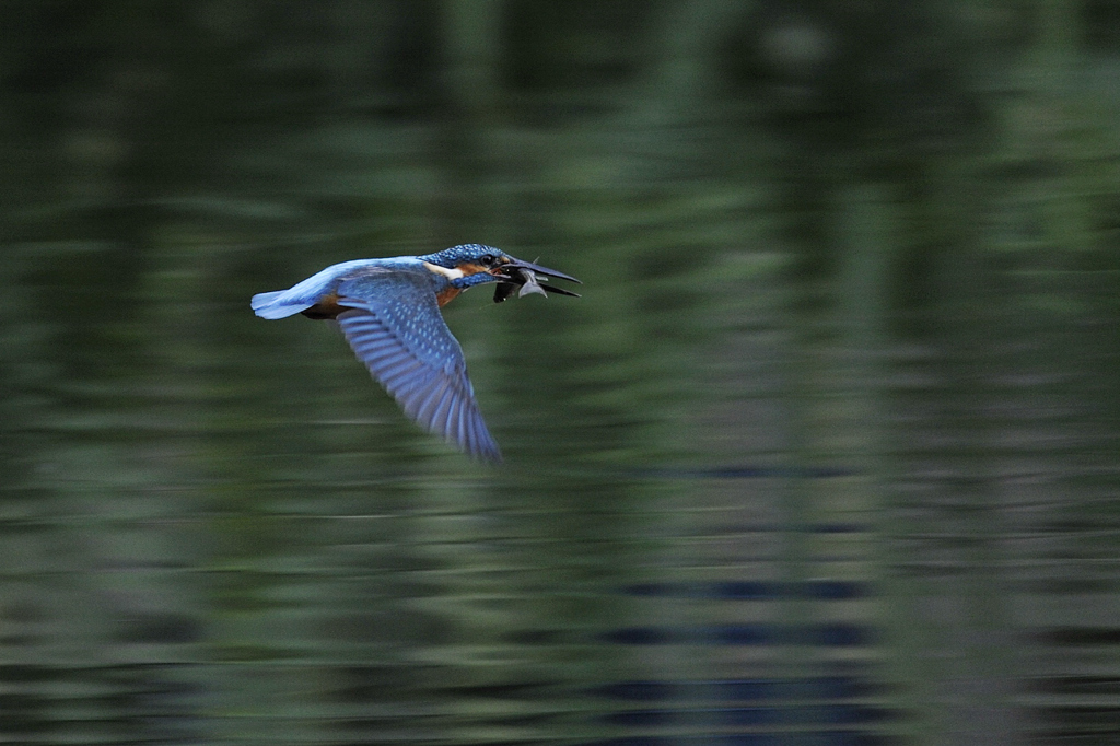 同じような写真ですが・・・！prat2