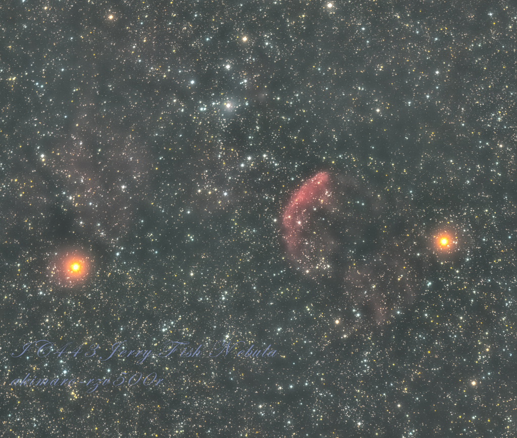 200329 IC443 くらげ星雲(青山)