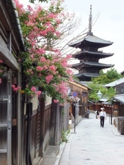 花と五重の塔