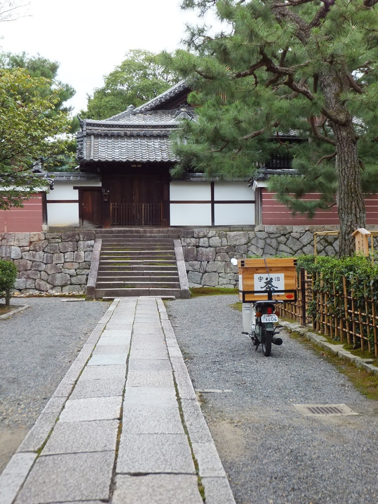 京のカブ