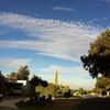 昼下がり　Adelaide