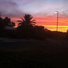 夕暮れ Adelaide