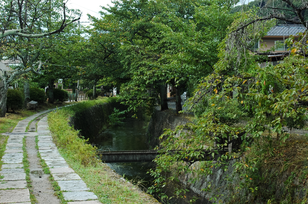 哲学の道