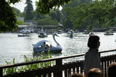 井の頭公園で