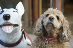 犬と犬の模型