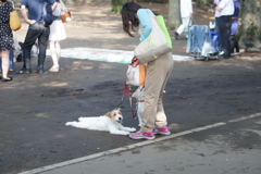 ぐでぇっとした犬