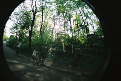 春の散歩道