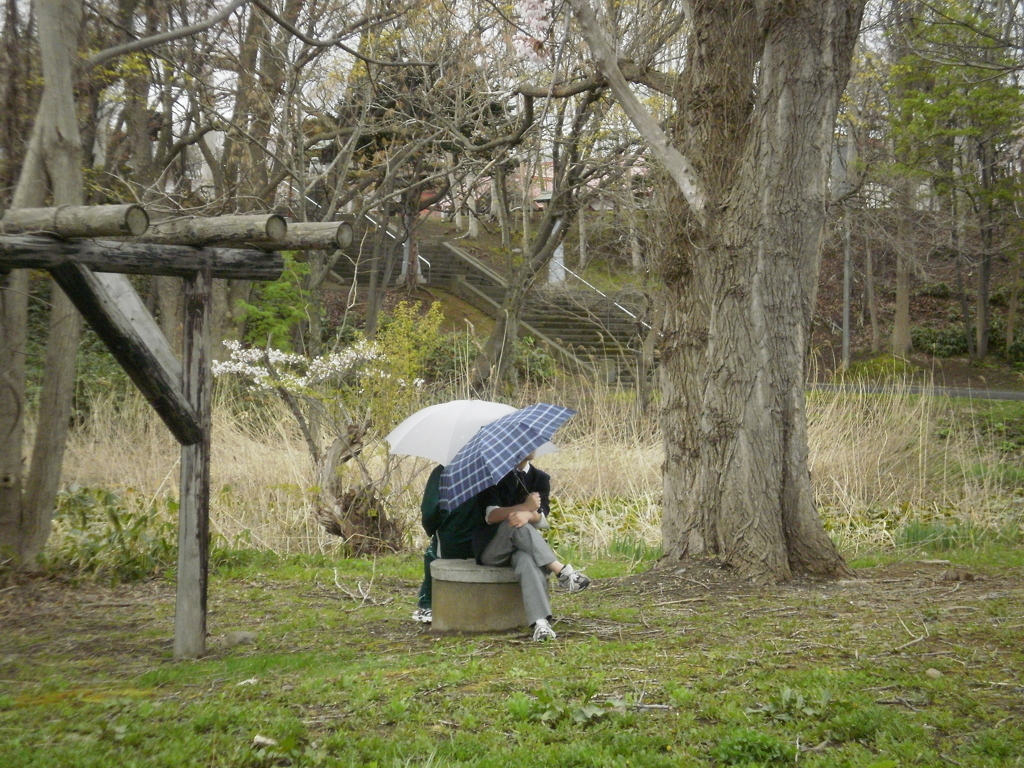 雨が降る