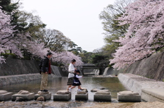 夙川散歩 （五）