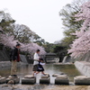 夙川散歩 （五）