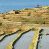 日本海と千枚田