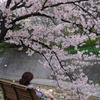 夙川散歩 （七）