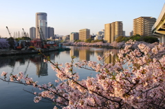 夜明けの大川