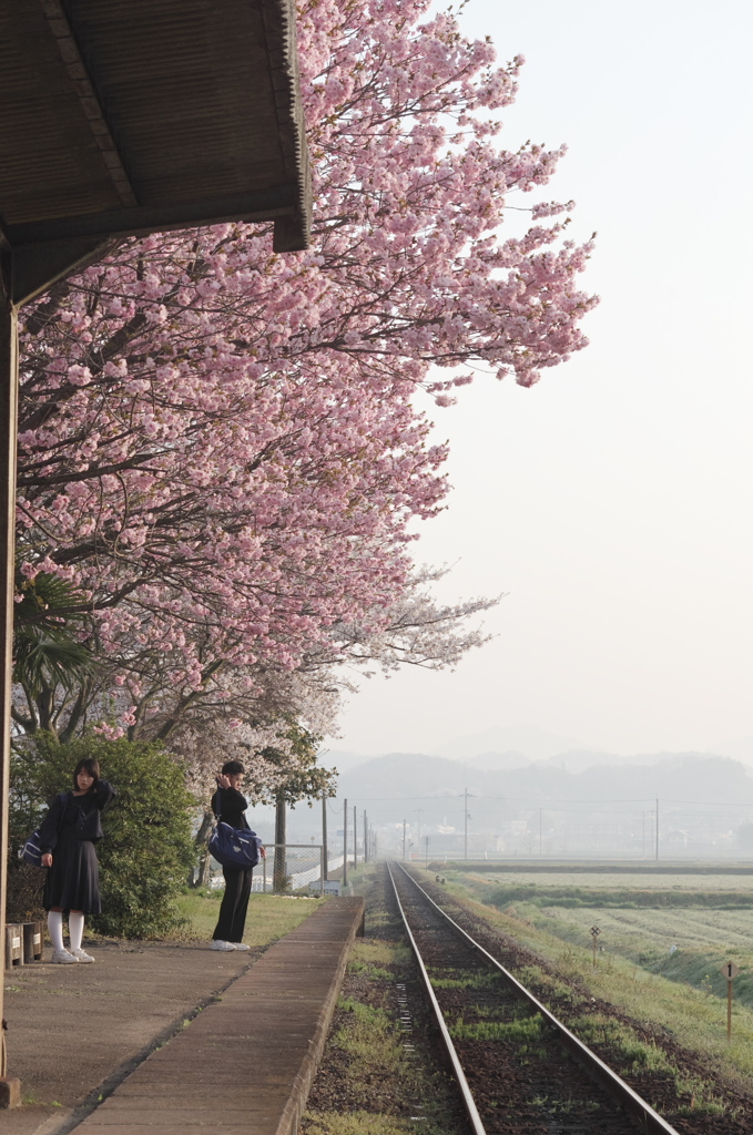 新学期