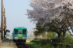 さくら列車