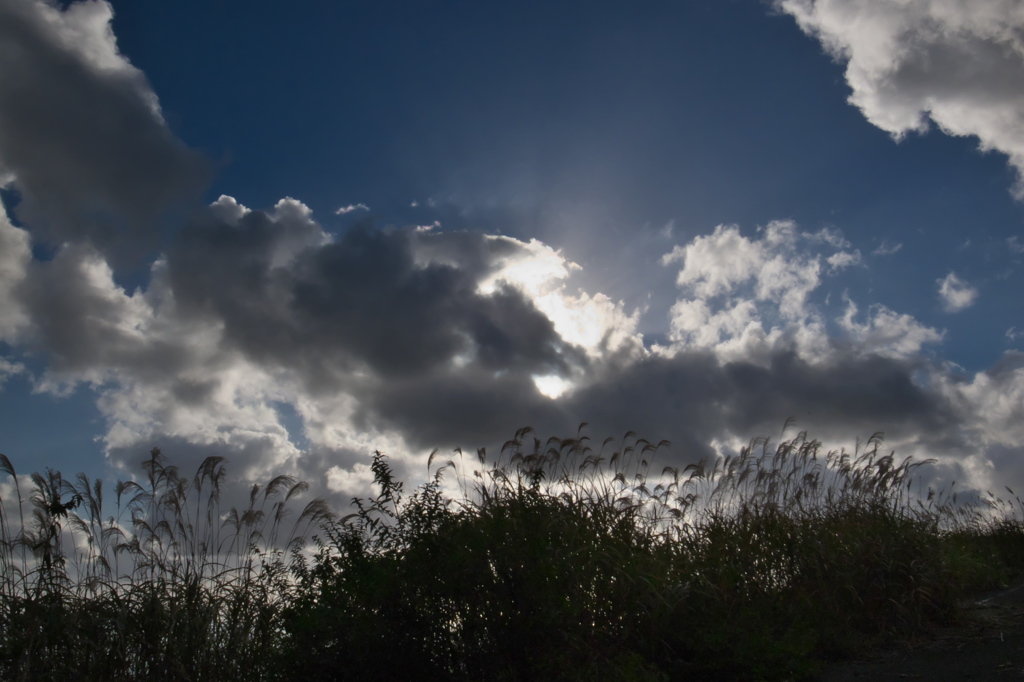 秋空