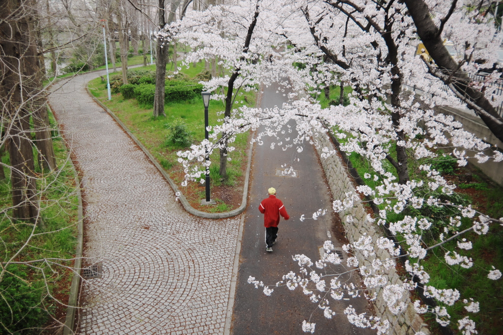 進む道