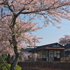竹田駅の春