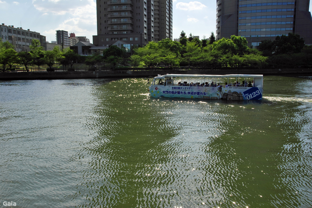 大阪ダックツアー