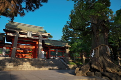 住吉神社