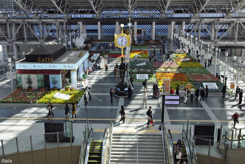 花の広場 （１）
